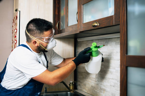 Best Local Pest Control Services  in Attla, AL