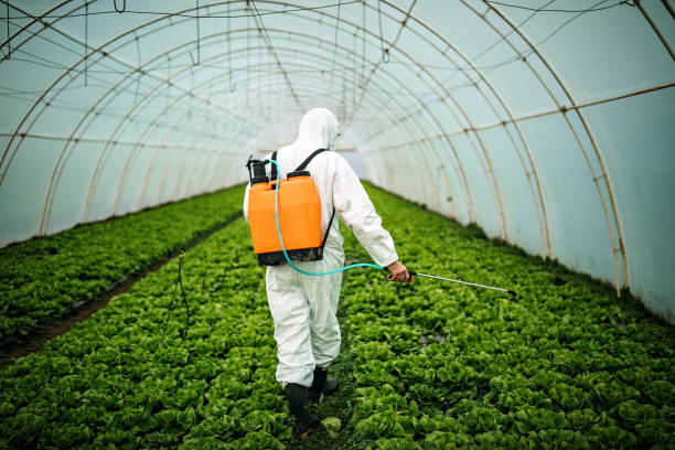 Best Best Pest Control Companies  in Attla, AL