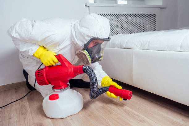 Best Cockroach Control Services  in Attla, AL