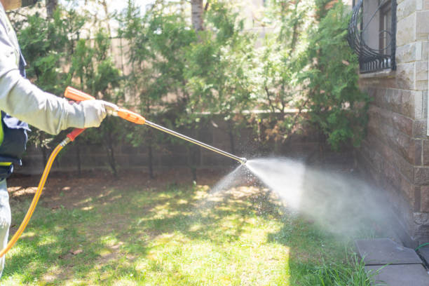 Best Affordable Exterminators  in Attla, AL