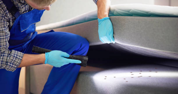 Flea Control Services in Attalla, AL