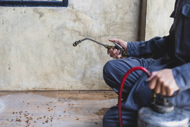 Best Ant Control Services  in Attla, AL